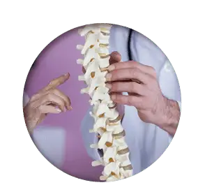 chiropractic circle